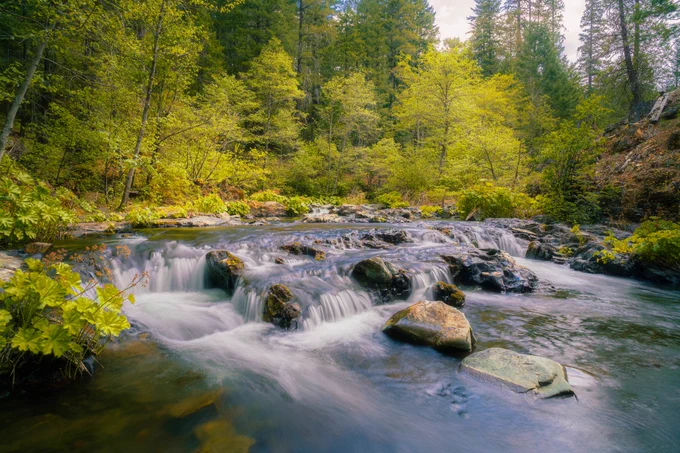 This image was captured on Squaw Valley Creek in Siskiyou County, California, USA. I captured the image on a somewhat overcast afternoon and really liked the soft ethereal light as the sun was filtered through the clouds. This part of the creek, just below the confluence of a small stream known as Cabin Creek, is especially beautiful. The famed Pacific Crest Trail (PCT) crosses just a short distance downstream from where this was captured. The small town of McCloud is just a few miles away and the whole area sits at the base of the majestic Mount Shasta, the fifth highest peak in the state of California.