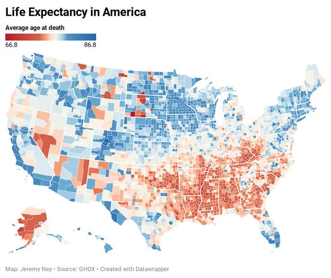 🔬 Note the stark differences in life expectancy.