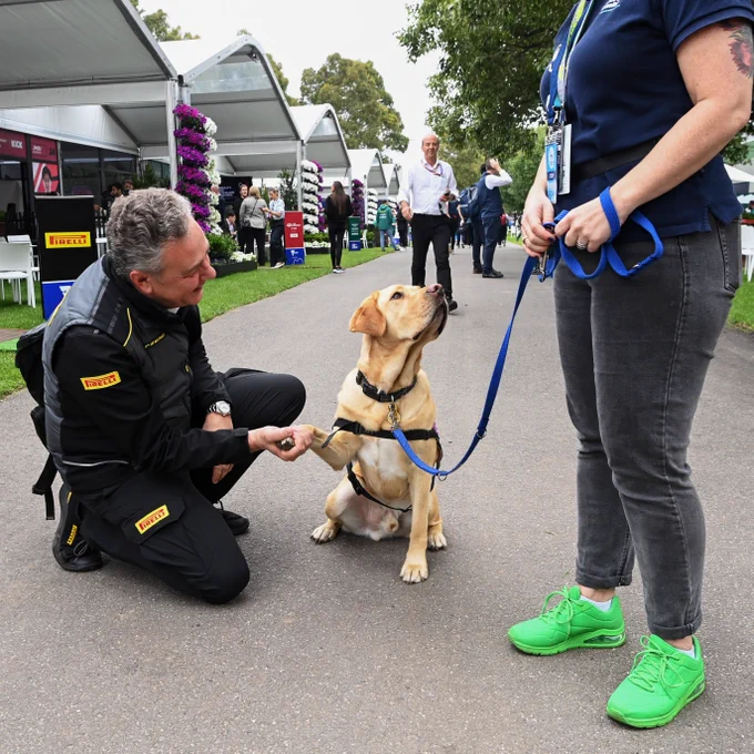 Mario Isola, Pirelli Motorsport Director, shakes paws with a guide dog from Assistance Dogs Australia in the Albert Park paddock during the 2023 Rolex Formula 1 Grand Prix