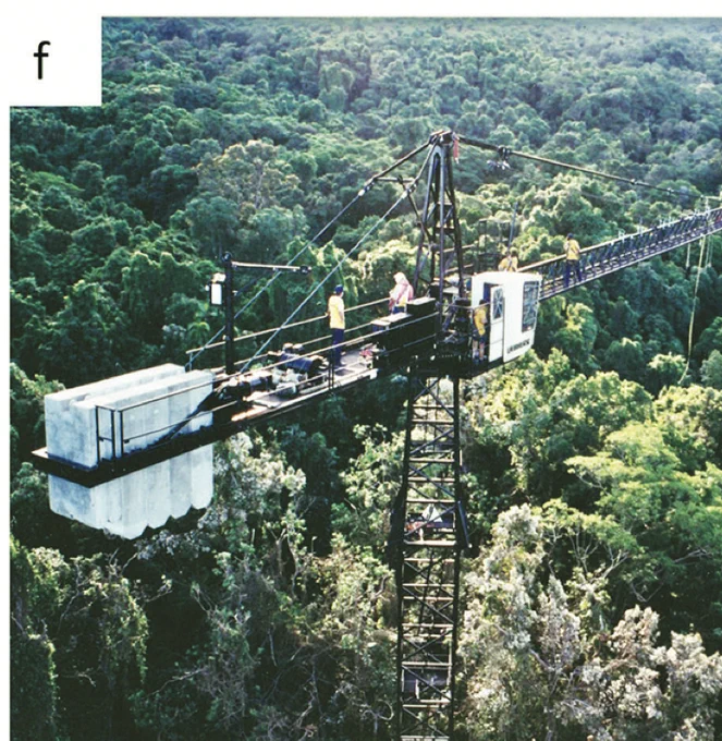 Daintree canopy crane est 1998. Photo: Nigel Stork