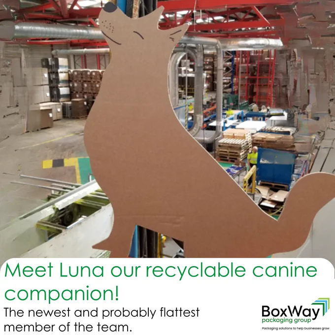 BoxWay Packaging is pleased to welcome the newest and probably flattest member of the team - meet Luna our recyclable canine companion.

Now there is some debate about her breed, We are not sure whether she is a
‘Board’er Collie representing the great quality of board we use or a
‘Boxer’ because that is what we do! Or thirdly a
‘Pointer’ highlighting our capabilities and recent investments.
We are sure however, that she will help to identify and highlight the ‘dogged‘ determination we at BoxWay take to meet and exceed the expectations of our customers.

Make sure you follow BoxWay to see Luna’s journey as she safely ‘leads’ us around the BoxWay sites ‘sniffing out’ our expertise and new investments.
You never know, you might both be in for a treat !!

Follow BoxWay on LinkedIn or visit our website for more information and contact details.
