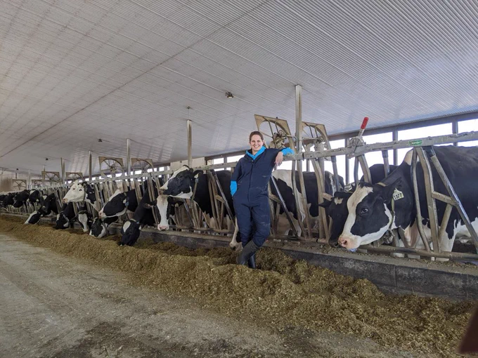 Sabrina Van Schyndel standing alongside dairy cows.