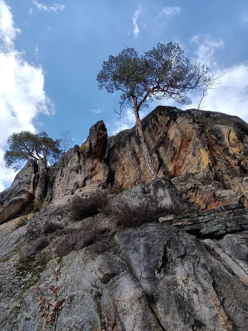 View up towards the sky and a rock formation with scarce trees