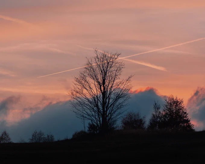 The tree is the subject and the sunset is the background, while the traces of the plane are visible in the sky.
📷
COLLECTION: NaturePhotoEurope
You can find the collection on OpenSea.