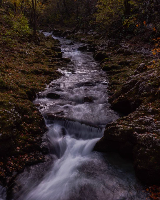 It's about the river that symbolizes the truth of life and all the good and bad things in our lives.
📷
COLLECTION: NaturePhotoEurope
You can find the collection on OpenSea.
