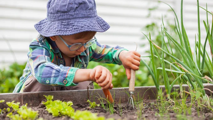 A young child gardening in a raised planter awarded through the Local School Nature Grants programme.