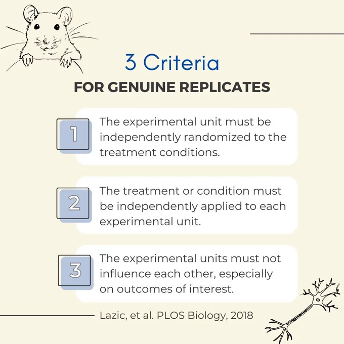An image with a picture of a mouse and a neuron with the text: "3 Criteria for Genuine Replicates:
1) The experimental unit must be independently randomized to the treatment conditions.
2) The treatment or condition must be independently applied to each experimental unit.
3) The experimental units must not influence each other, especially on outcomes of interest."

From Lazic, et al. PLOS Biology, 2018