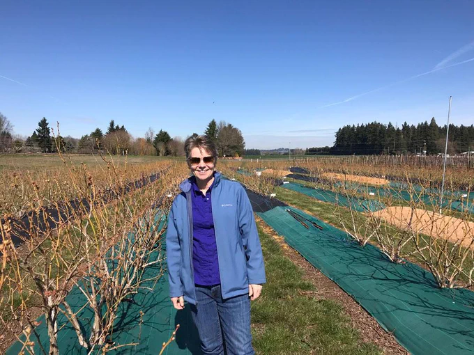 Bernadine Strik stands among blueberry bushes at the OSU North Willamette Research and Extension Center in Aurora, Oregon.