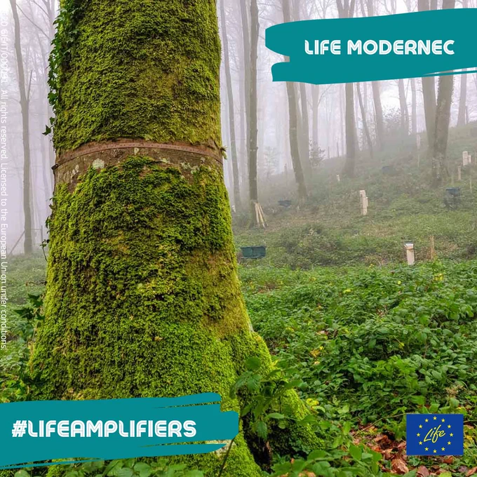 LIFE Modernec