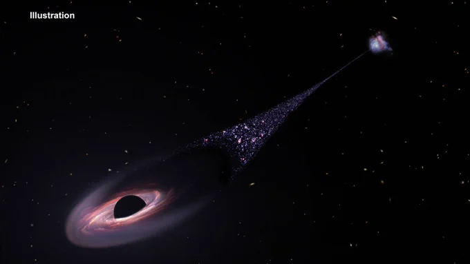 This illustration shows a black field speckled with white, yellow and red galaxies. A black hole near the bottom left corner of the image plows through space, leaving a diagonal trail of newborn stars stretching back to the black hole’s parent galaxy in the upper right corner. The black hole is represented by a black half-sphere. It is encircled by an elongated disk of material compressed on the lower left side and trailing off on the upper right side. The material closest to the black hole appears pink, white and streaky. Beyond this, the leading edge of the disk, near the bottom, left corner, is milky violet. The disk trails off behind the black hole, becoming black. Beyond the disk, a diagonal “contrail” of blue and pink stars extends toward the blue-and-pink parent galaxy. The bridge of stars trails off, becoming narrower as it approaches the galaxy. 