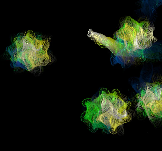 Our interdisciplinary lab group is working to better understand the energy transformation and information that underlines physiological complexity. This project's goal is to understand the bioenergetics of mouse sperm cells and their relationship to motility patterns. Depending on the initial conditions and substrates present they can directly affect the functions of these sperm cells. This image depicts motile mouse sperm with a temporal color code under phase contrast microscopy. These types of images then allow us to parameterize our agent-based model to enhance our understanding of sperm competence in the terms of bioenergetics.​