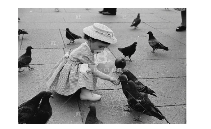  Girl wearing a hat crouches to feed pigeons, Bologna, Italy, 1960 , by Russell Lee. e_rl_0218