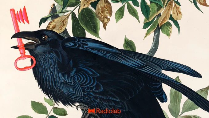 A crow perched on a leafy brand holds a red key in its beak. Art by Jared Bartman.