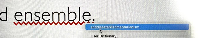 A poor quality image of a portion of a screen. The word ‘ensemble’ is underlined in red with a correction suggestion of ‘antidisestablishmentarianism’.