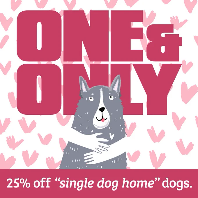 A graphic of a large grey dog being hugged. There are hearts in the background, and text that says, "one & only. 25% off "single dog home" dogs."