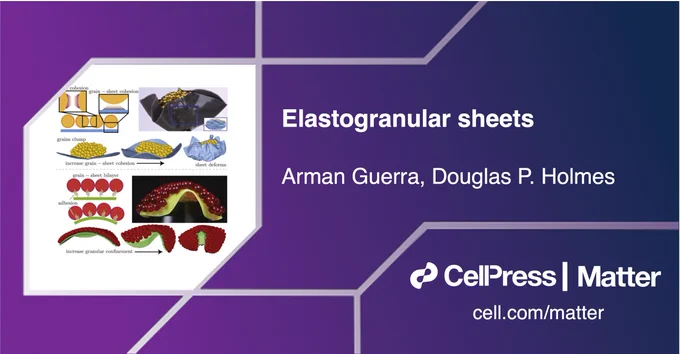 Accessibility text: Elastogranular sheets by Arman Guerra and Douglas P. Holmes. Cell Press, Matter, cell.com/Matter