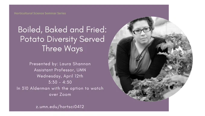 Image of Dr. Laura Shannon in a greenhouse looking at potato plants with event flyer text: "Horticultural Science Seminar Series. Boiled, Baked and Fried: Potato Diversity Served Three Ways. Presented by: Laura Shannon, Assistant Professor, UMN. Wednesday, April 12th. 3:30-4:30 in 310 with the option to watch over Zoom. z.umn.edu/hortsci0412"