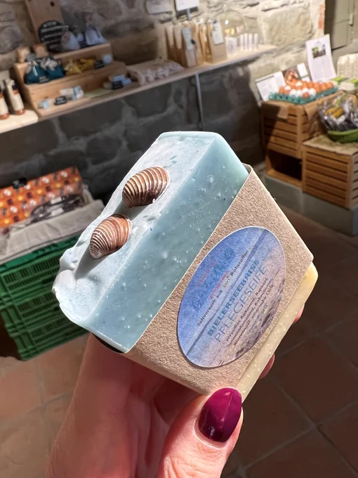 Bar of soap with two clam shells halves pressed into it