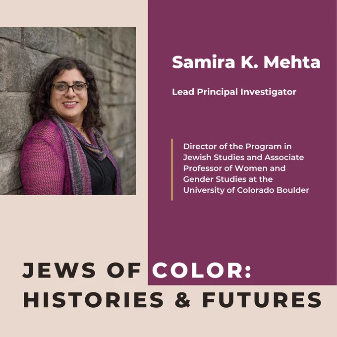 Mauve and tan graphic with image of Mehta and list of professional titles