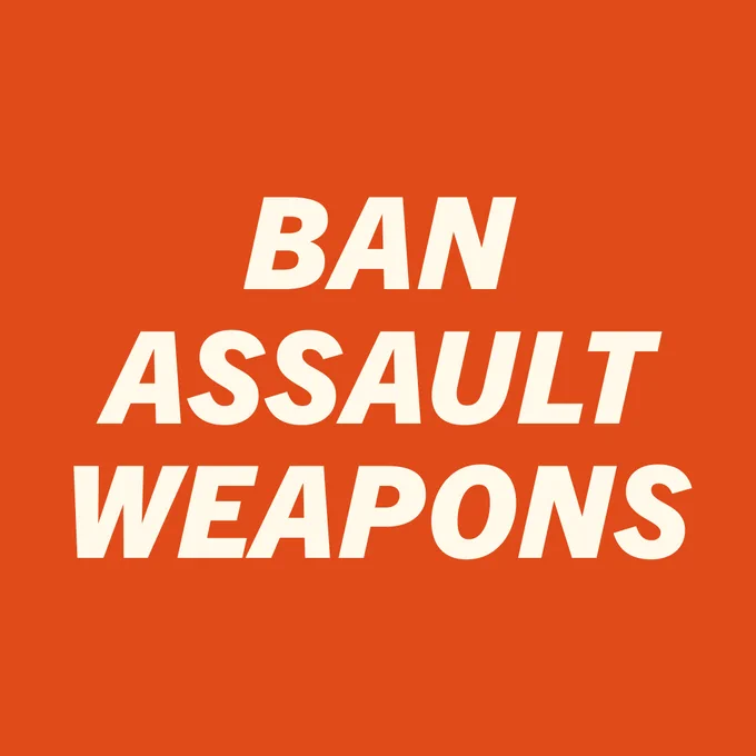 BAN ASSAULT WEAPONS