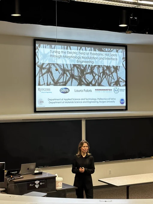 Professor Fabris introduces her work on Tuning the Electric Field of Plasmonic Hot Spots through Morphology Modulation and Interface Engineering