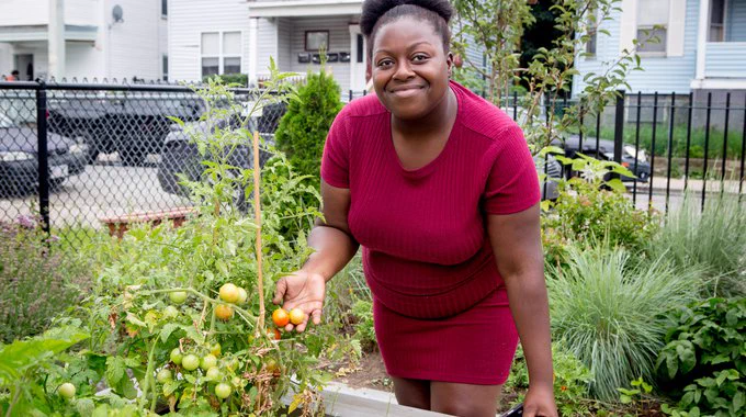 A person holds tomatoes while smiling for a photo in a community garden. 