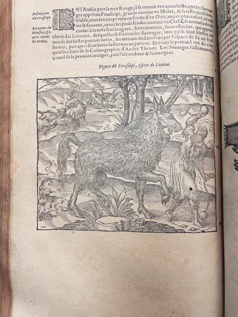 Woodcut of a very shaggy unicorn