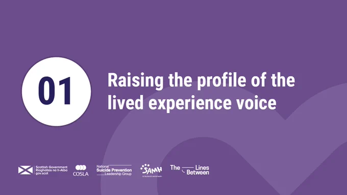 Text says:

01 Raising the profile of the lived experience voice 