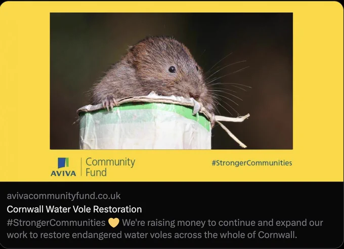 https://www.avivacommunityfund.co.uk/p/cornwall-water-vole-restoration