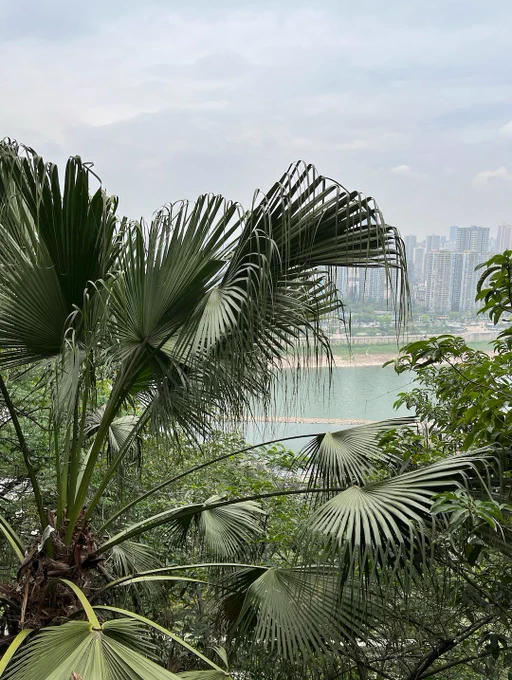 featuring some Chongqing moments!