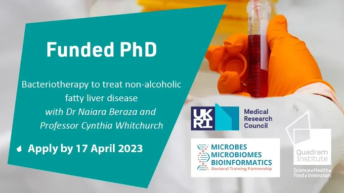 An image of someone holding a test tube with red liquid. On the left a dark green quadrangle with the text "Funded PhD, Bacteriotherapy to treat non-alcoholic fatty liver disease, with Dr Naiara Beraza and Professor Cynthia Whitchurch, Apply by 17 April 2023. On the right the MRC logo, Quadram Institute logo and Microbes Microbiomes and Bioinformatics Doctoral Training Partnership logo.
