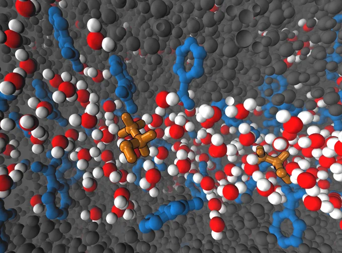 A stylized graphic of some atoms and molecules in a molecular system, along with some water.