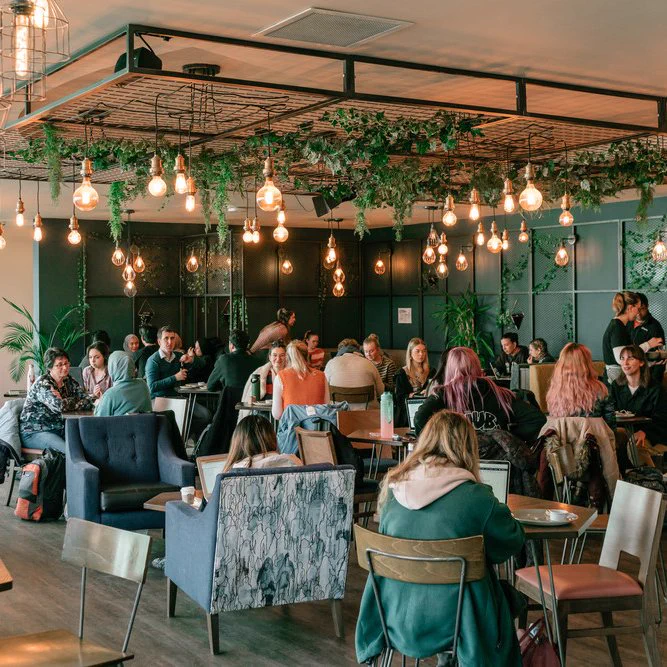 People sat on chairs in a cafe with lots of light bulbs overhead