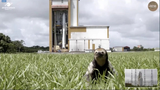 A screengrab of the ESA telecast. The shot is of the JUICE spacecraft, stacked on an Ariane 5, with a sloth in the foreground. It's the best gratuitous sloth cameo I think I've ever seen.