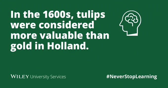 In the 1600s, tulips were considered more valuable than gold in Holland. 