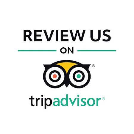 Colourful Trip Advisor owl logo with 'Review us on' written above in black. 