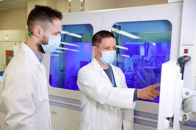THP medical laboratory professionals