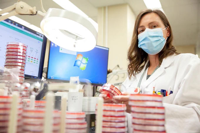 THP medical laboratory professional