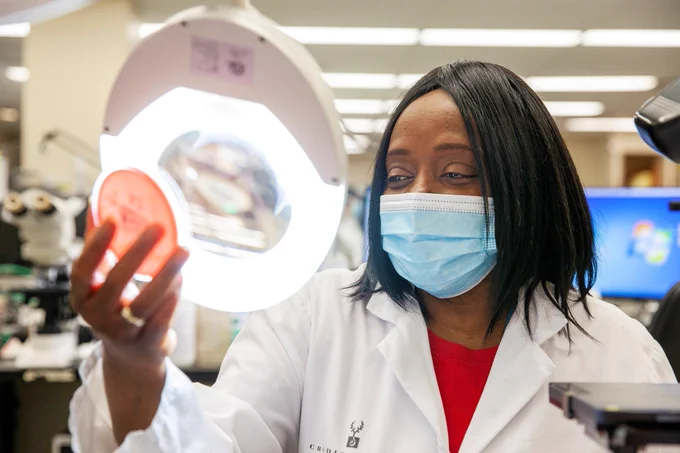 THP medical laboratory professional