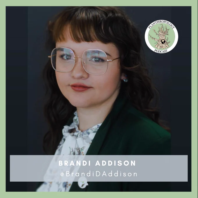 A woman with square framed glasses smiles at the camera, wearing a flowery shirt and green blazer. The text box on the image says "Brandi Addison" and "@brandidaddison"