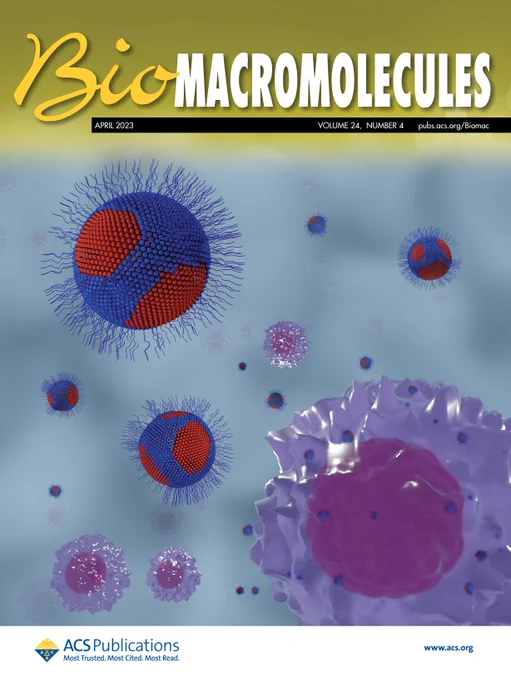 This artwork depicts phase-separated liposomes (blue and red spheres) that include polyethylene glycol modified lipids, which are the subject of our study. Phase segregation can enhance liposome binding to and subsequent interactions with target cells.
