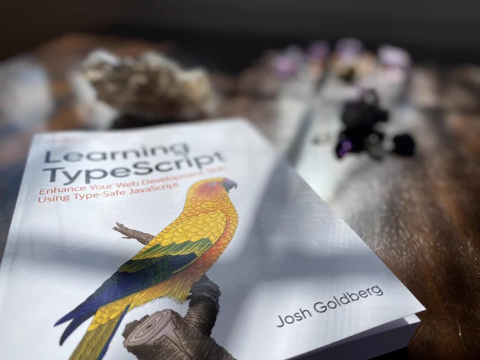 My brand new book: Learning TypeScript — by Josh Goldberg  gathered among a scattering of crystals on my sunlit wooden table.