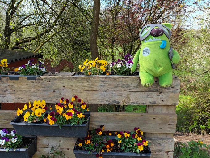 The green Datamonster is sitting on a wooden pallet with flower boxes.