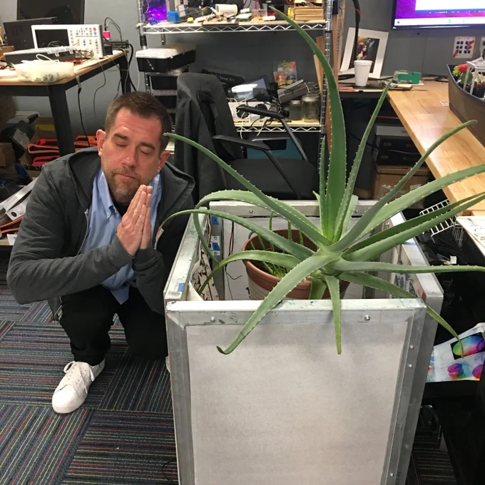 A man wearing a gray jacket and white sneakers crouches with hands pressed together and eyes closed next to his project, a modular art concept with an aloe plant placed inside a metal box.