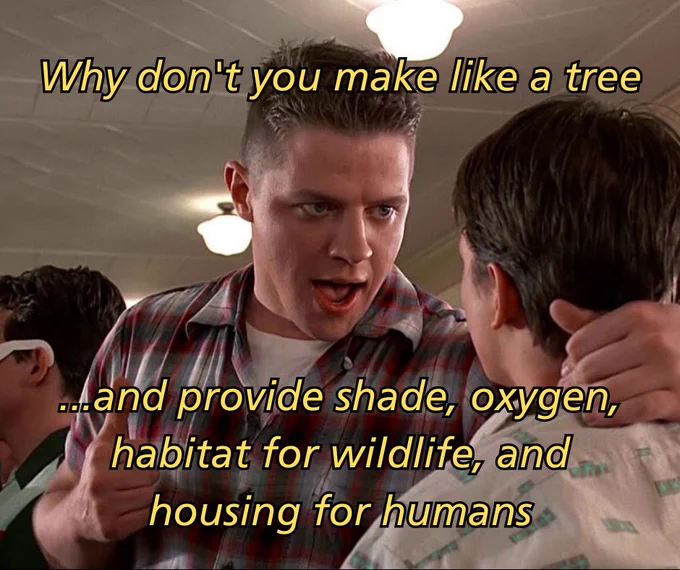 Biff - famed bully from Back to the Future and secret tree enthusiast - grips Marty by the neck and says: "Why don't you make like a tree and provide shade, oxygen, habitat for wildlife, and housing for humans."