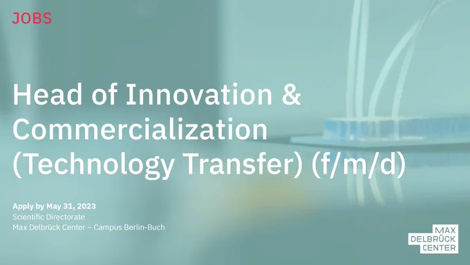 Graphic for a job opening at the Max Delbrück Center: Head of Innovation and Commercialization (Technology Transfer) (f/m/d). Apply by May 31, 2023. Located on the Campus Berlin-Buch.

