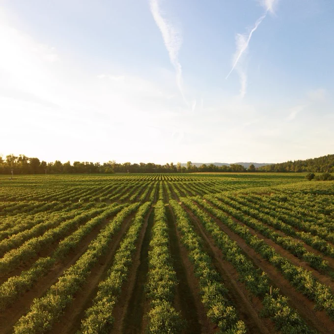 Please join us next Tuesday 25 April 2023 for our TRANSCEND Seminar: Climate change impacts on agriculture 🌳🚜🌻
📷@unsplash
FREE registration here: http://shorturl.at/drJ58 
