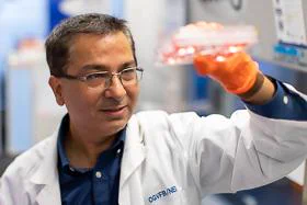 Kapil Bharti, Ph.D.

National Eye Institute