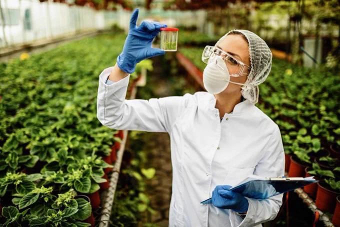 foto de pessoa observando recipiente em meio a plantas