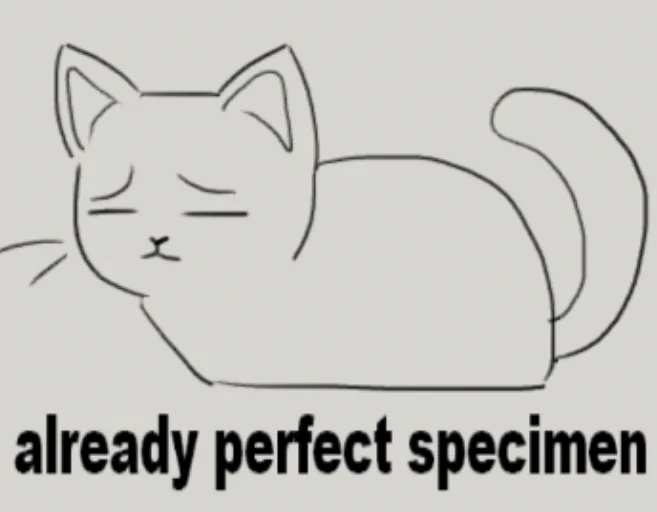 doodle of pitr cat with text at the bottom that says "already perfect specimen"